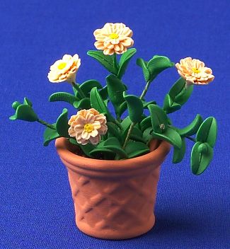 Flowers in Pot - large zinnia