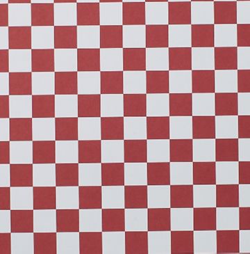 Flooring - Square Tile Terracotta