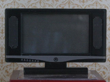 Widescreen Television