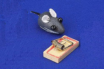 Mouse & Trap