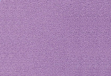 Self Adhesive Carpeting - lilac