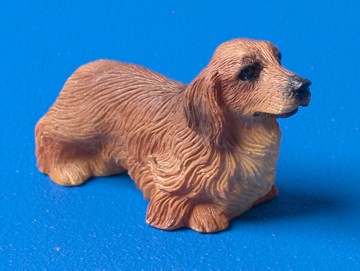 Dog - Long Haired Dachshund