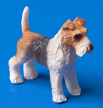 Dog - Wire Haired Terrier