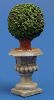 Topiary Bush in Round Planter