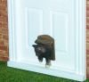 Cat In Flap