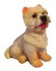 Dog - Westie Sitting