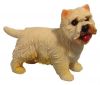 Dog - Westie Standing