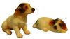 Dogs - Pair Of Jack Russells